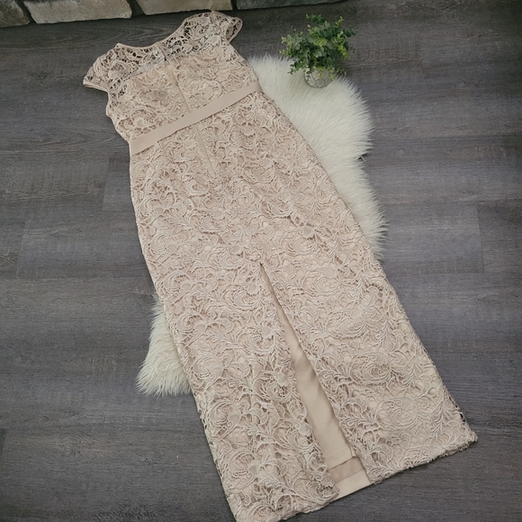 Adrianna PapellCap-Sleeve Illusion Lace Gown Size 14 - Picture 6 of 16